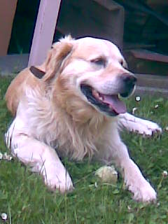 Obraz002.jpg