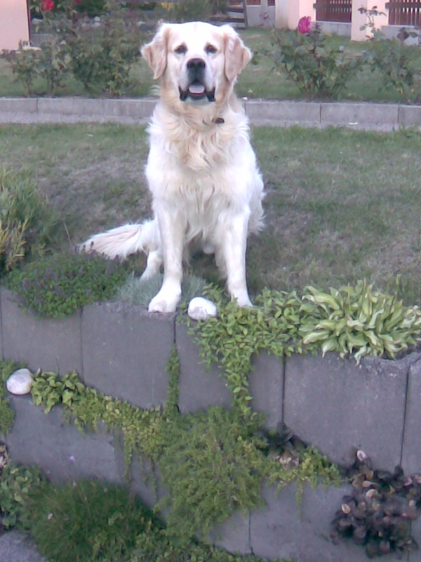Obraz004.jpg